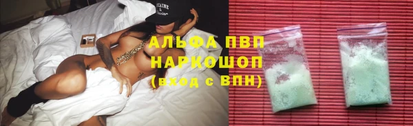 гашиш Богданович