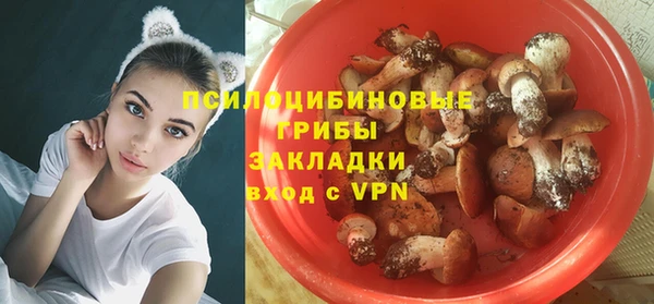 синтетический гашиш Богородск