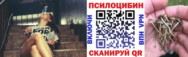 Купить закладки  Горняк  Галлюциногенные грибы прущие грибы 