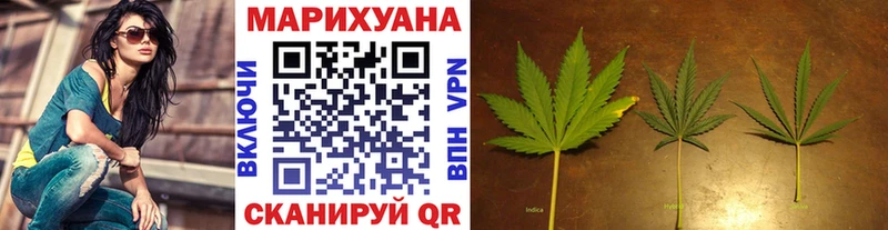 Купить где  Горняк  Каннабис планчик 